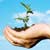 Best Ideas For Ethical Travel